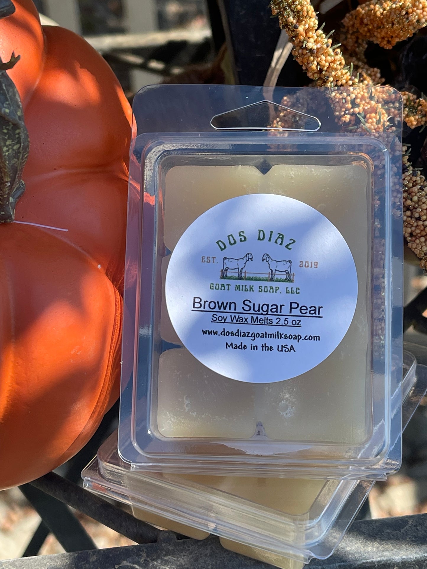 Fall Soy Wax Melts sale